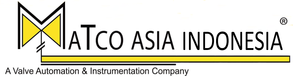 MAI Logo
